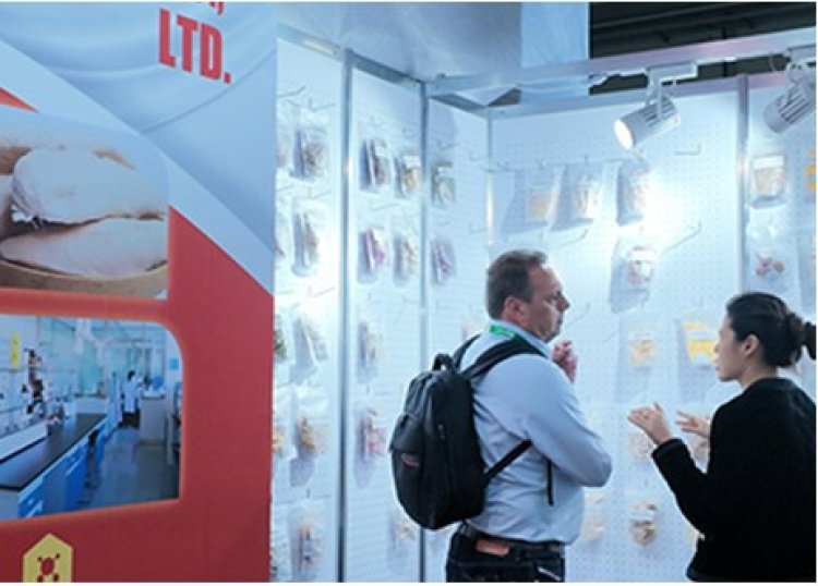 expo1