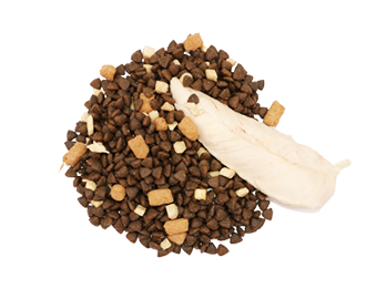 Pet Dry Food